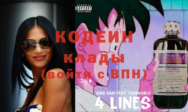 хмурый Елабуга