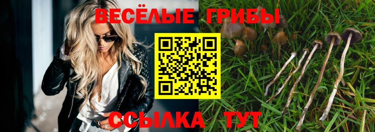 Псилоцибиновые грибы мухоморы  Вход с VPN  Зеленогорск 